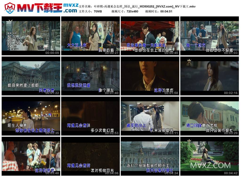 叶梓熙-再遇见会怎样_国语_流行_MD500252